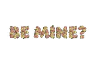 Be Mine: A Floral Embroidery Review for Real Projects