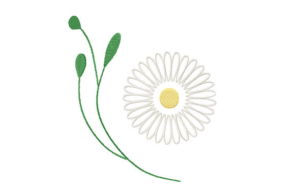 Gentle Chamomile Flower Review