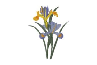 Iris Beauty: A Vintage-Inspired Embroidery Gem for Holiday Gifting