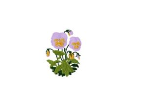 Pansy: A Thoughtful Embroidery Review for Boutique Sweatshirts