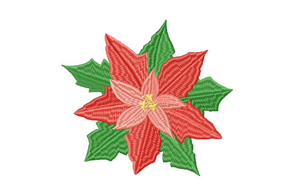 Poinsettia Christmas Star