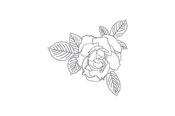 Rose Bud with Three Leaves