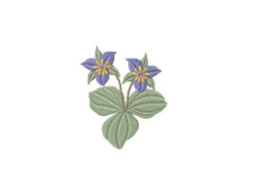 Trillium: A Thoughtful Embroidery Review for Boutique Sweatshirts